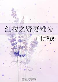 红楼之贤妻难为百度