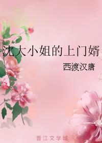 大小姐的的上门女婿