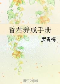 昏君养成手册讲的 叫什么