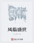 风启盛世公司