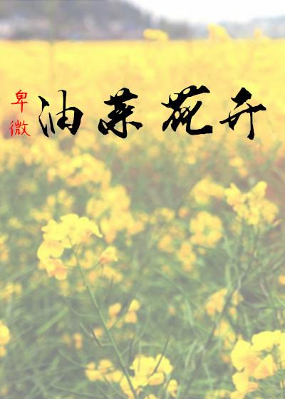 油菜花开电视剧情介绍