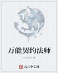 契约法师第三部