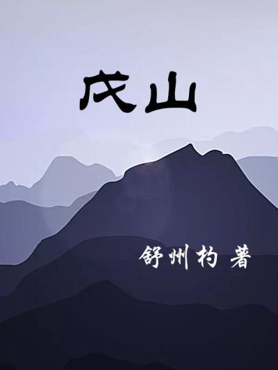 戊山辰向分金详解