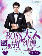 豪门欢宠boss大人