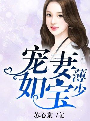 薄少宠妻如宝林允烟