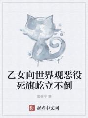 乙女向是什么意思?