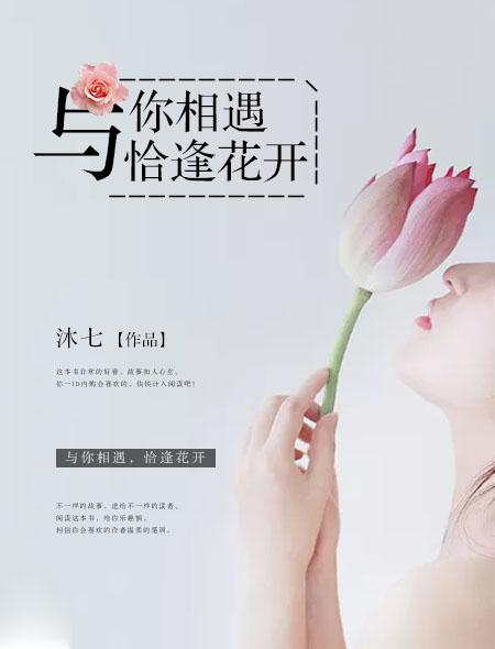 与你相遇恰逢花开免费阅读