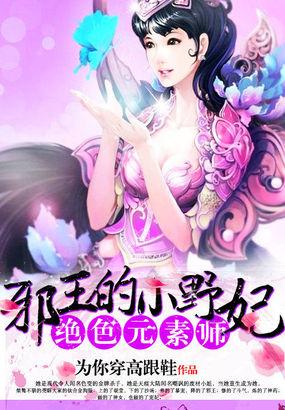 绝色元素师邪王的小野妃修炼等级介绍在哪一章