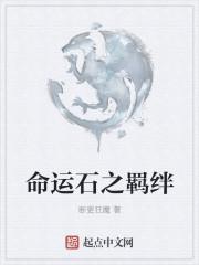 命运石之门手机汉化版