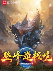 登峰造极境Rise