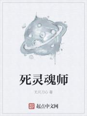 死灵魂师叶枫