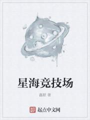 星海游戏介绍