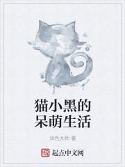 小黑家的猫