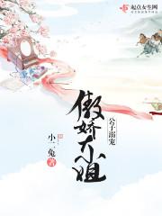 傲娇公子爱上我