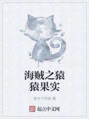 海贼之猿猿果实夜光下的夜txt