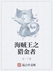 海贼王之我是海贼猎人