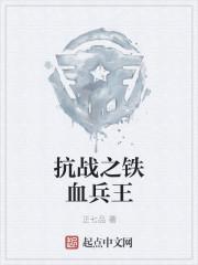 抗战之铁血兵王txt精效版