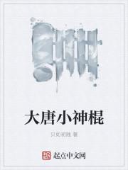 大唐神级小农民免费阅读