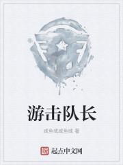 游击队队长叫什么