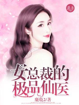 美女总裁的极品医婿