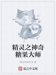 精灵之神奇糖果大师在线观看