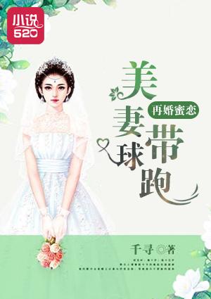 再婚甜妻美又飒沐六六