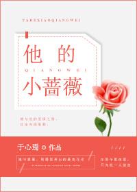 他的小蔷薇无弹窗