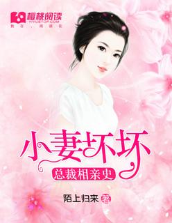 总裁小小妻子