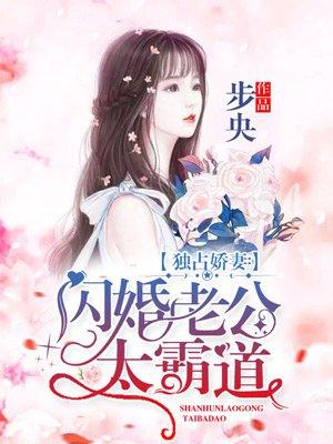 闪婚独宠霸道老公超给力