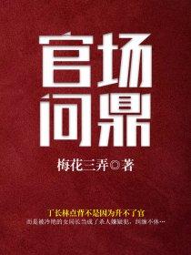 内部游戏丁长林免费阅读700