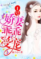 1号宠妻老公宠上瘾免费完整版