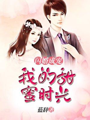 闪婚之我的甜妻