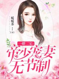 一婚二宝帝少宠妻无节制听书百度