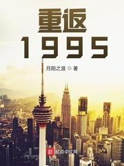 重返1995无防盗