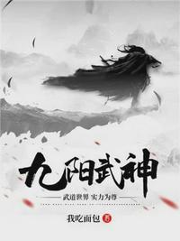 九阳武神叶云飞正版