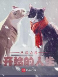 四合院是什么样的