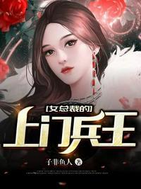 女总裁的上门兵王作者六夜