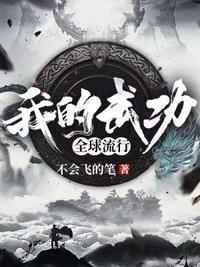 我的武功全球流行无防盗