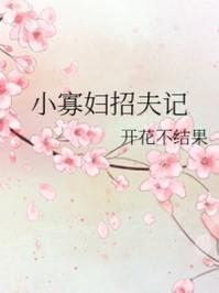 小寡妇招夫记是双洁吗