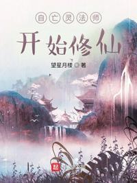 亡灵法师完结