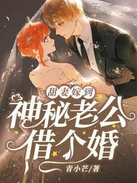 神秘老公闪婚免费阅读全文