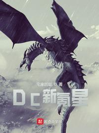 dc新氪星无弹窗