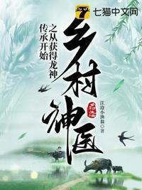 乡村神医神农诀