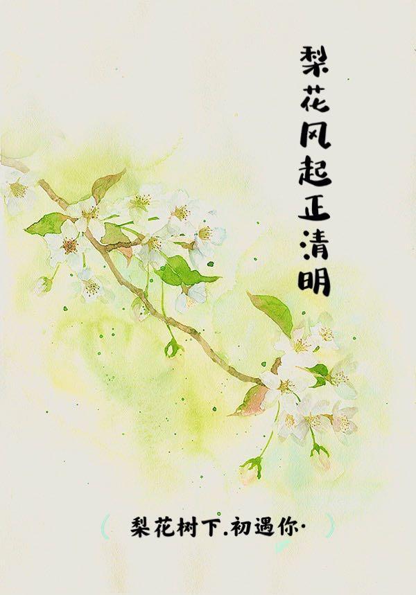 梨花风起正清明是什么意思