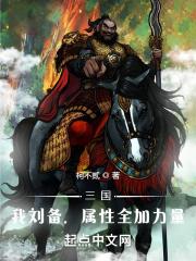 三国我刘备属性全加力量