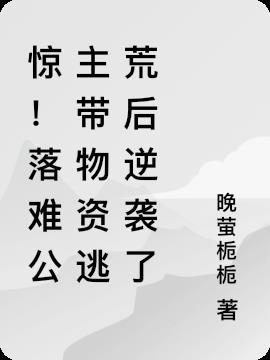 落难公主言情