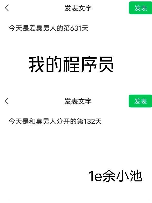 编程就是程序员吗