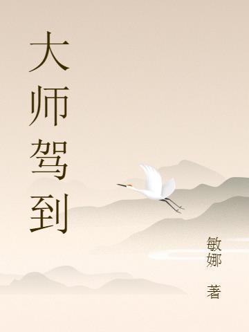 大师驾到栏目