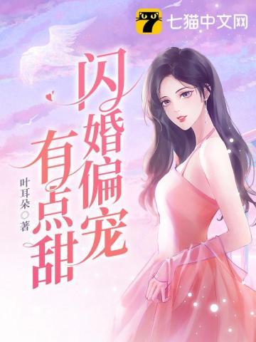 闪婚偏宠有点甜沈小辞叶新哲