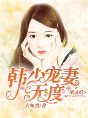 一纸成婚韩少宠妻无度免费